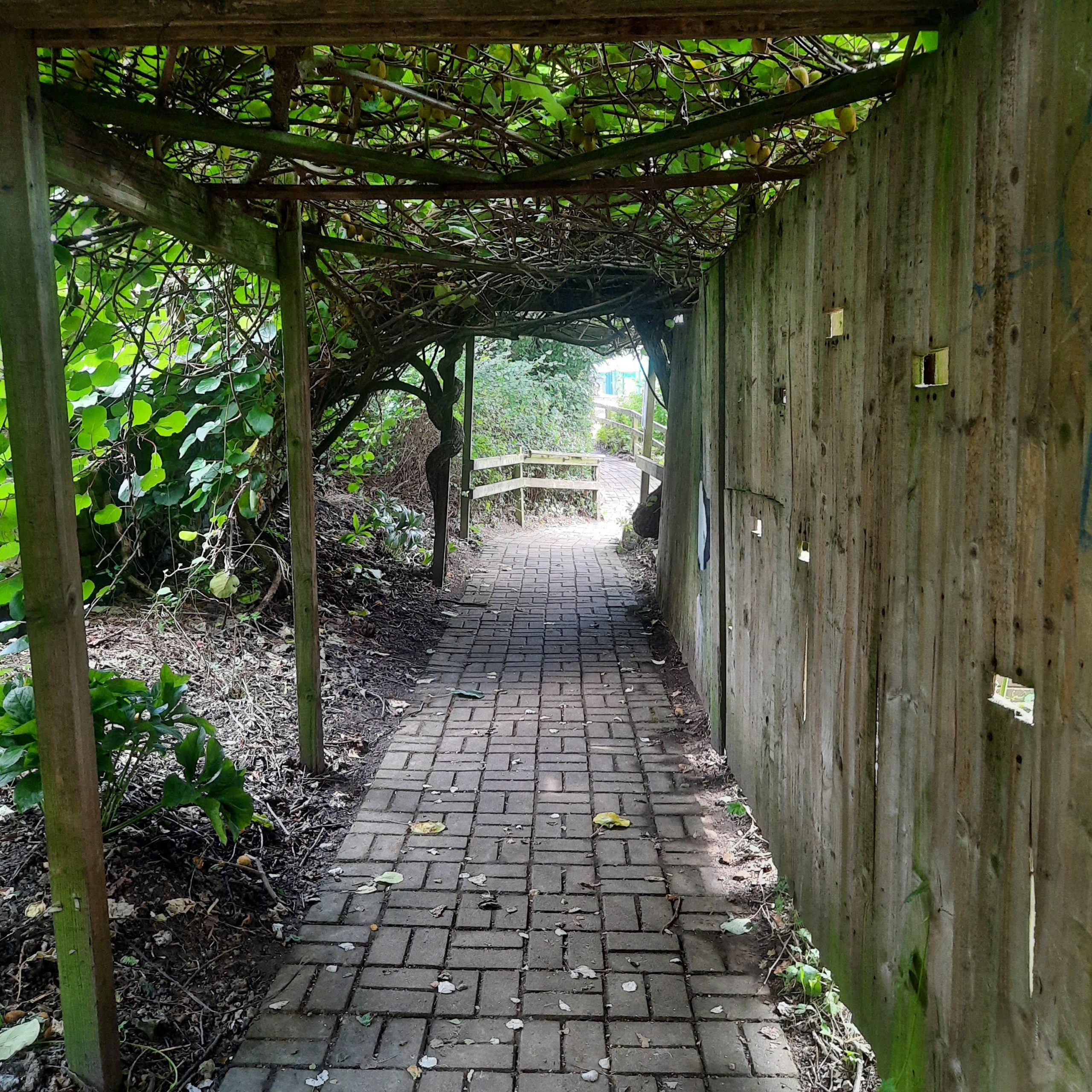 Image of a path at Meanwood Urban Farm showing some unevenness and low height
