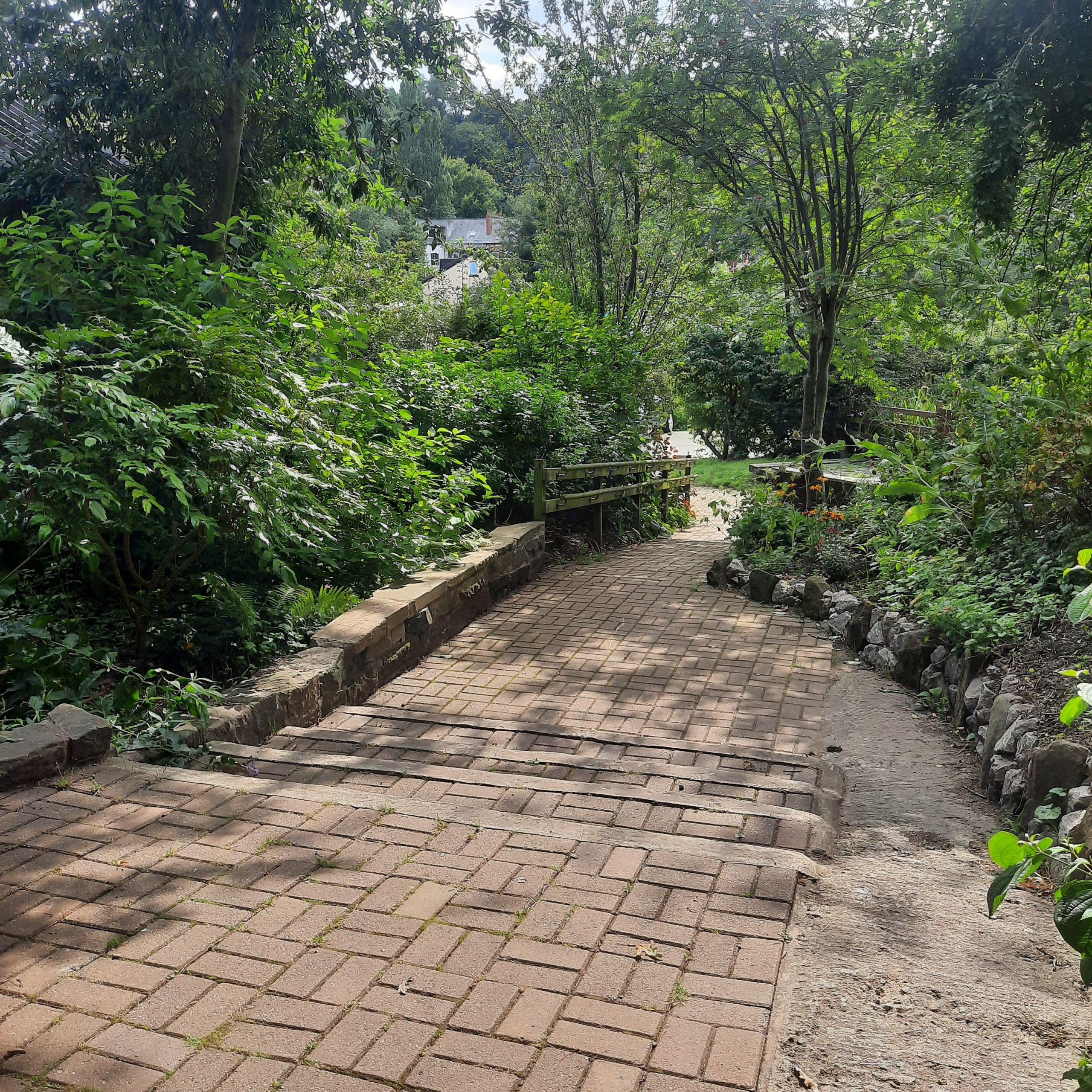 Image of a path at Meanwood Urban Farm showing some unevenness and sharp incline